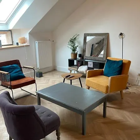 Atypique Chevreul Appartement Angers