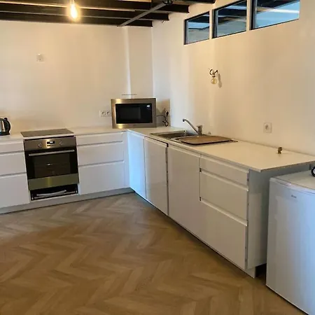 Atypique Chevreul Appartement *