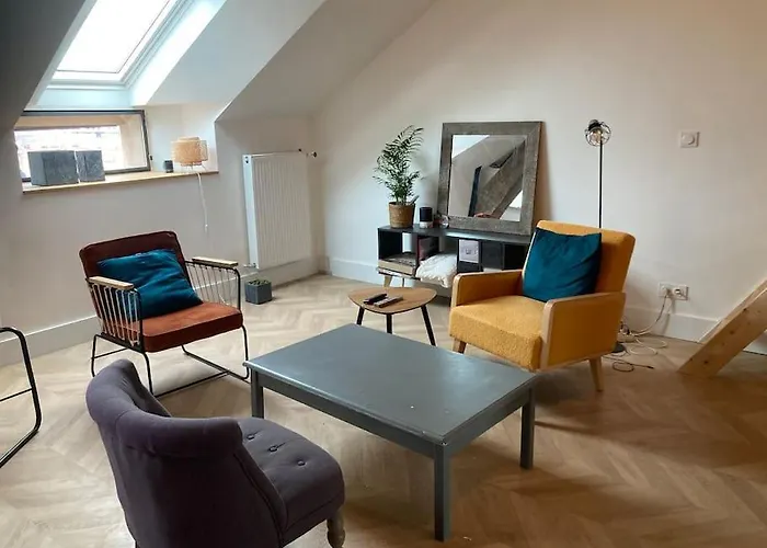 Atypique Chevreul Appartement Angers