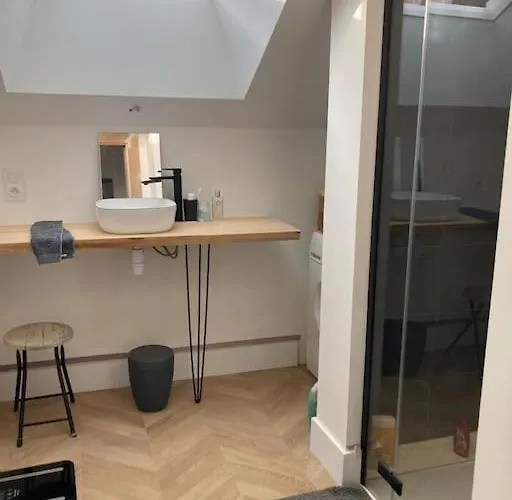 Appartement Atypique Chevreul