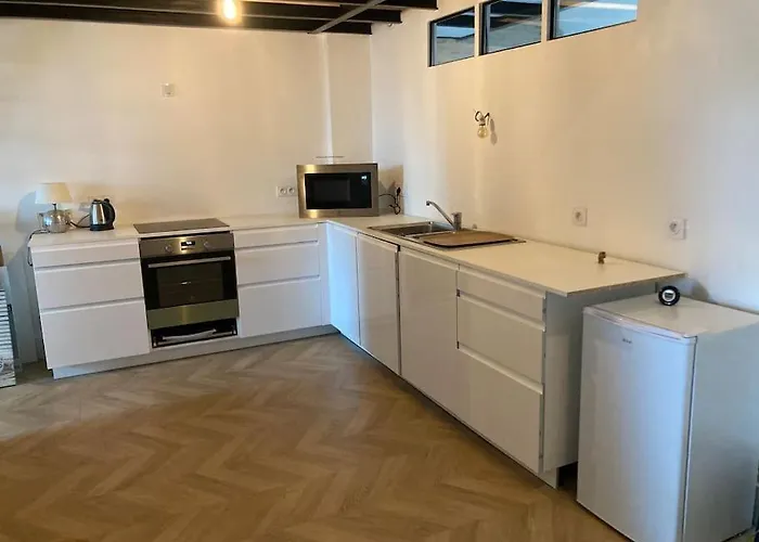 Atypique Chevreul Appartement *